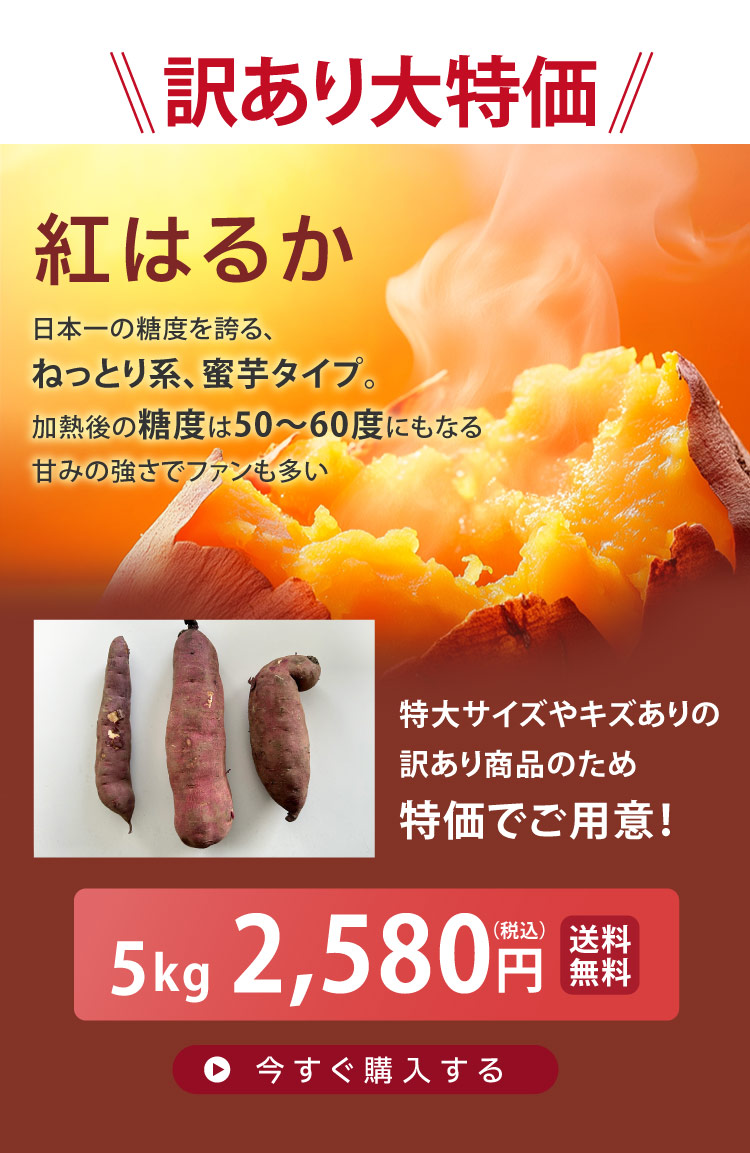 訳あり特価べにはるか 5kg