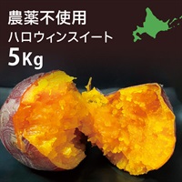 ハロウィンスイート 5kg（農薬不使用）