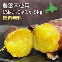 紅はるか 訳あり LL5kg(農薬不使用)