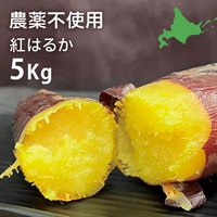 紅はるか 5kg(農薬不使用)