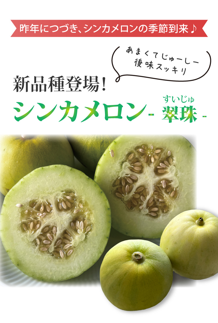 シンカメロン（翠珠すいじゅ）新発売