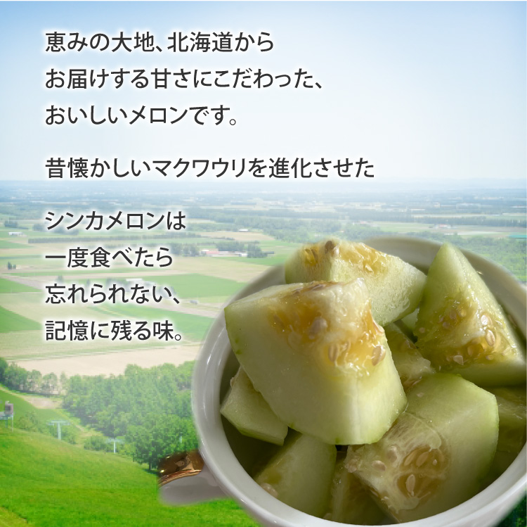シンカメロンは一度食べたら忘れられない記憶に残る味