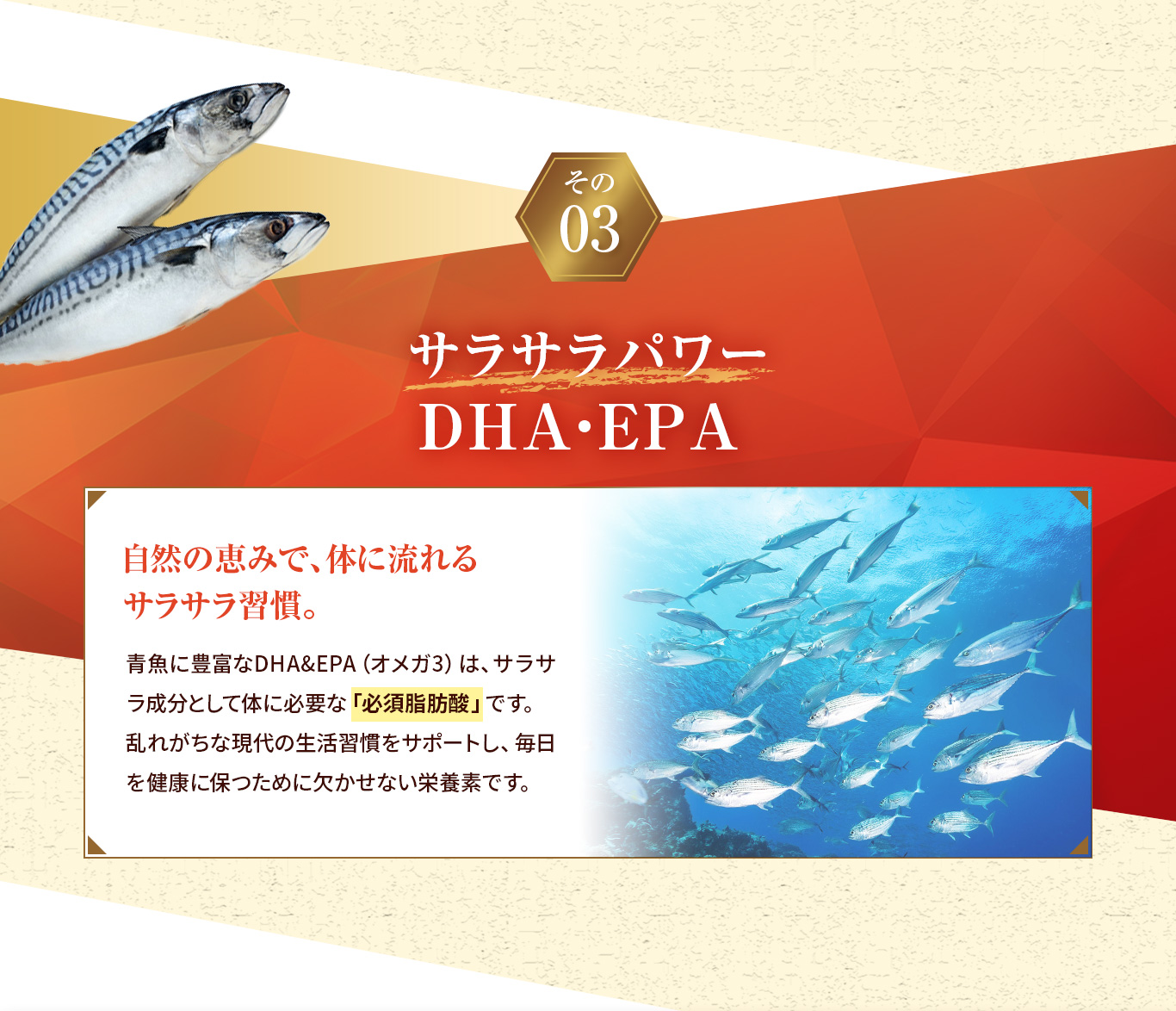 サラサラパワー DHA EPA