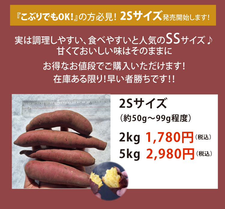 ２Sサイズの発売開始