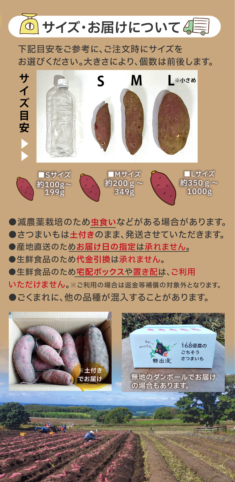 様々なサイズのさつまいも