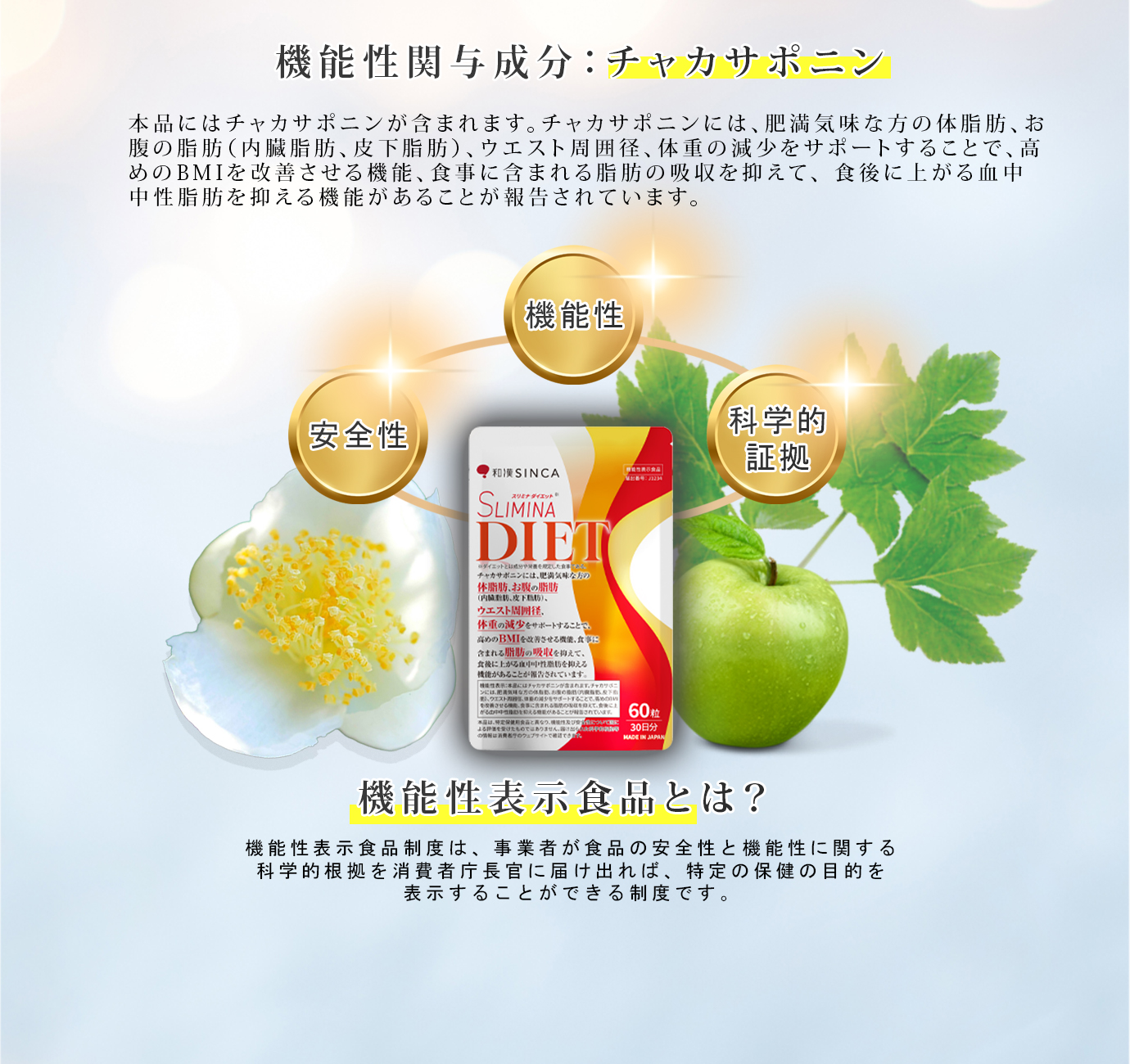 機能性関与成分チャカサポニンの説明
