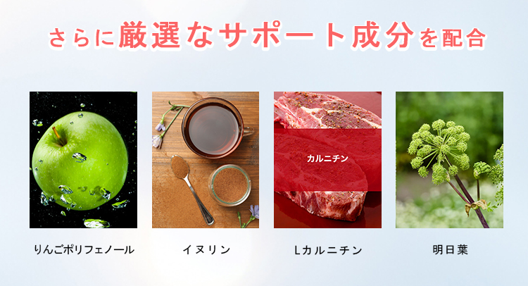さらに厳選なサポート成分を配合