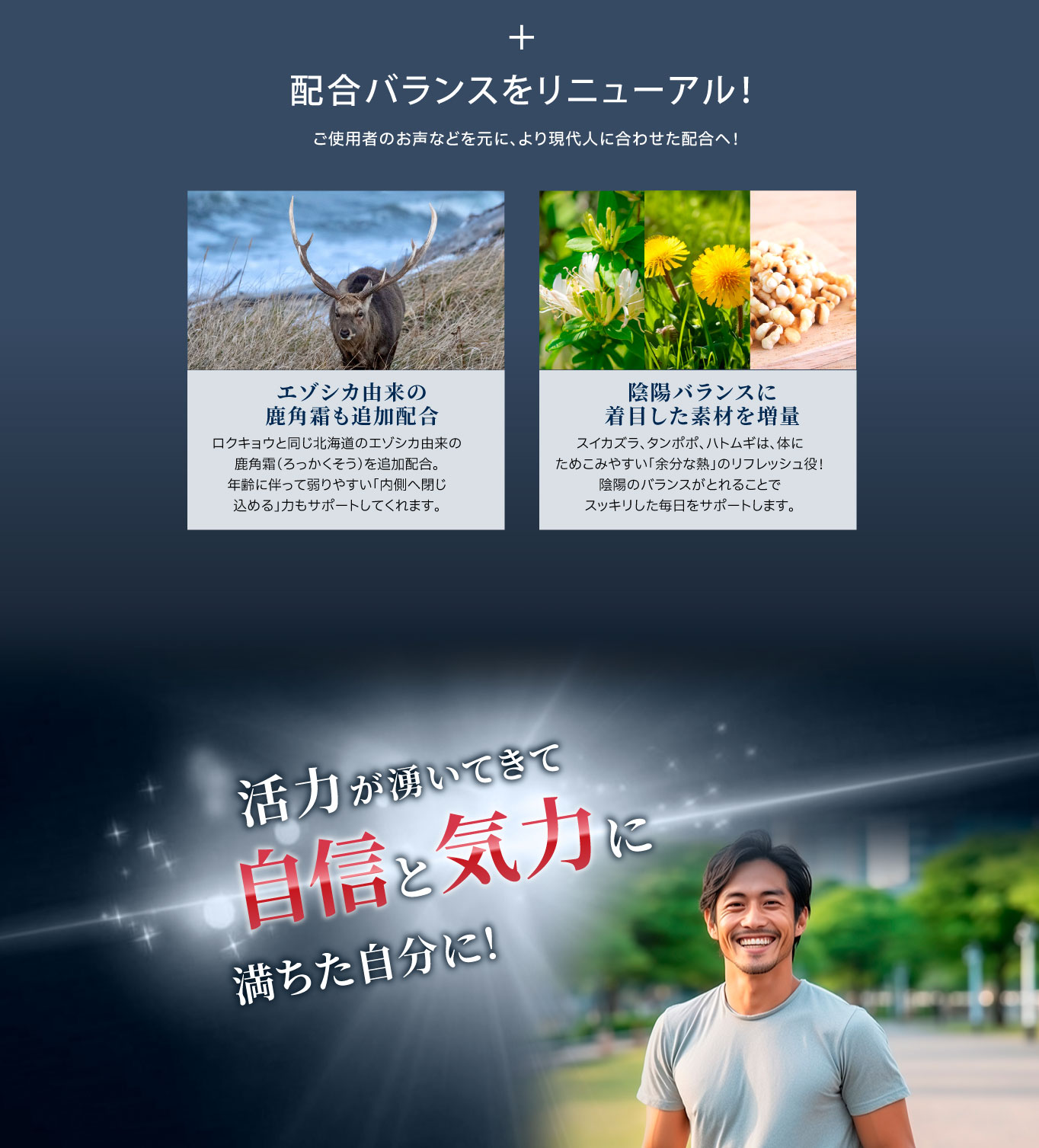 リニューアルで新配合、タンポポ、スイカズラ、ハトムギエキスも配合で活力がわいて自身と気力に満ちた自分に