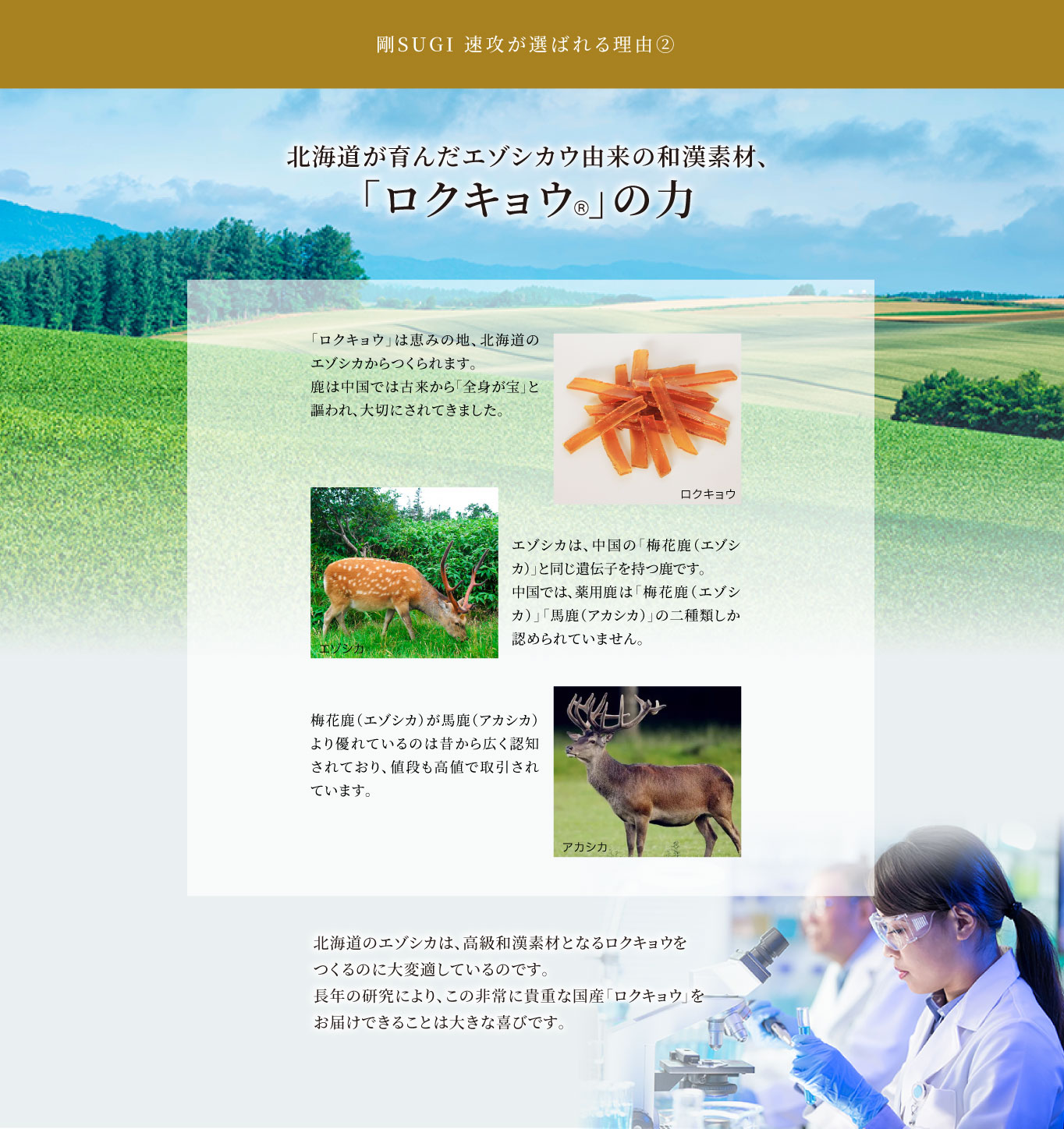 北海道産エゾシカ由来の「ロクキョウ」、鹿は古来より全身が宝