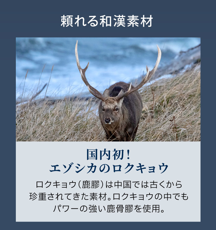 剛SUGIMANは国内初のエゾシカ由来の「ロクキョウ」の中でもパワーの強い鹿骨膠（ろっこつきょう）を使用