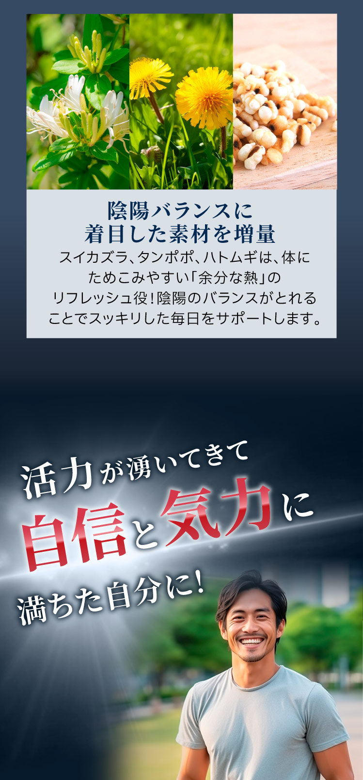 リニューアルで新配合、タンポポ、スイカズラ、ハトムギエキスも配合で活力がわいて自身と気力に満ちた自分に