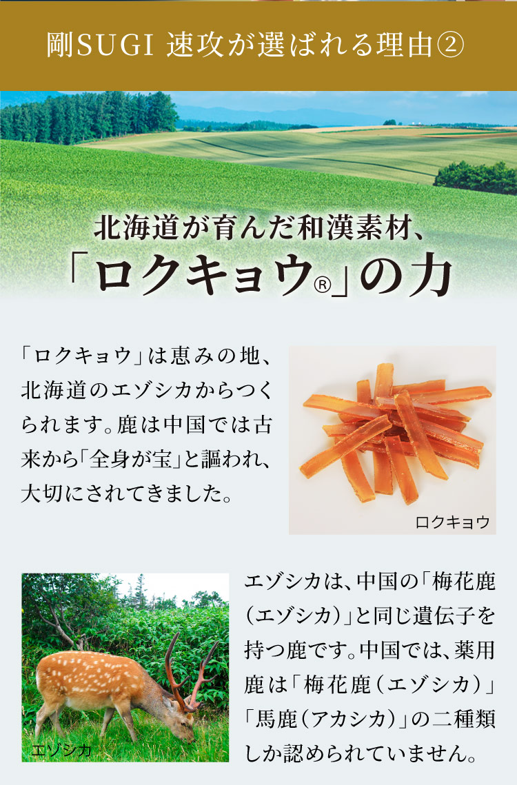 北海道産エゾシカ由来の「ロクキョウ」、鹿は古来より全身が宝